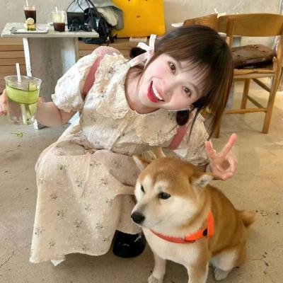 社会学家和小熊